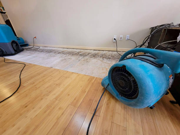 Professional Structural Drying technician working in Isabella, MN